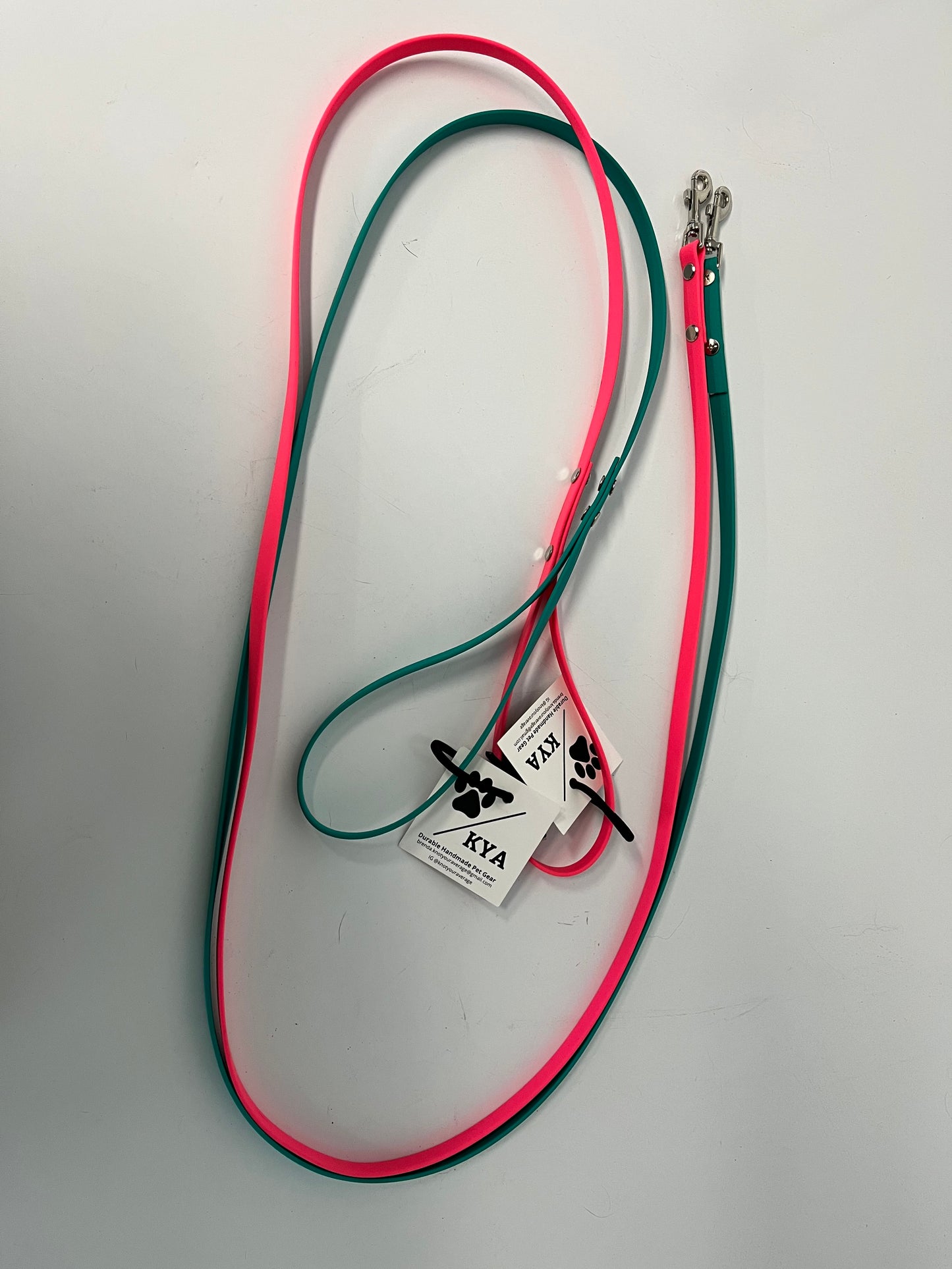 BioThane 6ft Leash